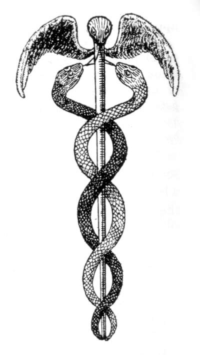 hermes snake staff|the staff of mercury.